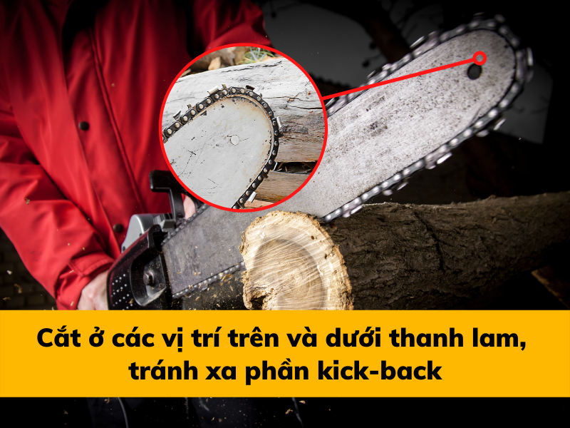 Hướng Dẫn Sử Dụng Máy Cưa Xích Cơ Bản Nhất Cho Người Mới Bắt Đầu