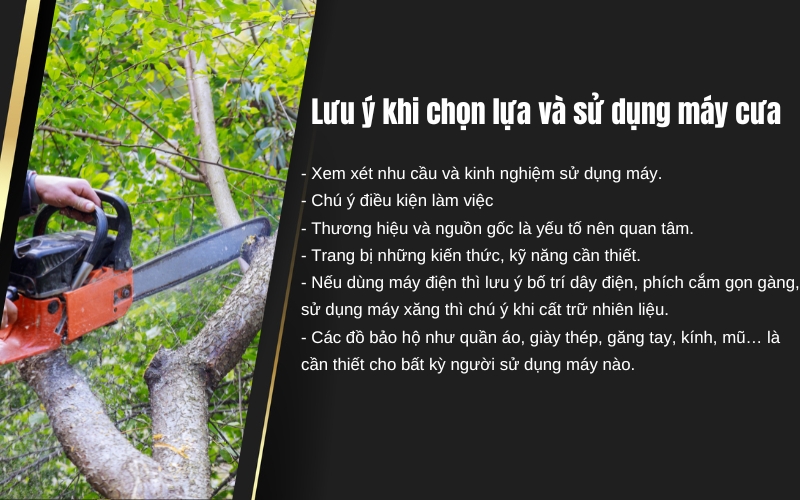 Lưu ý gì khi chọn lựa và sử dụng máy cưa