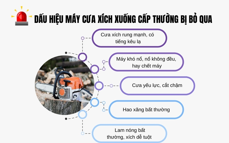 Một số dấu hiệu máy cưa xích xuống cấp người dùng thường bỏ qua