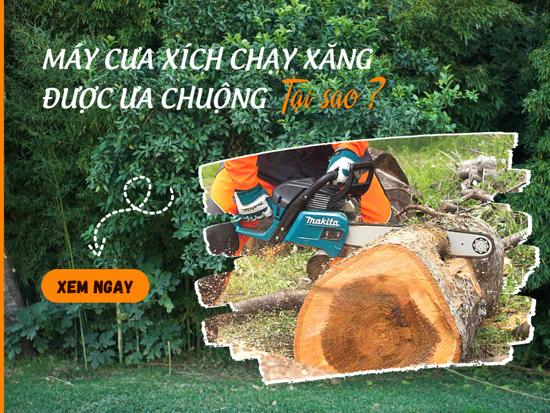 Tại sao máy cưa xích chạy xăng lại được ưa chuộng