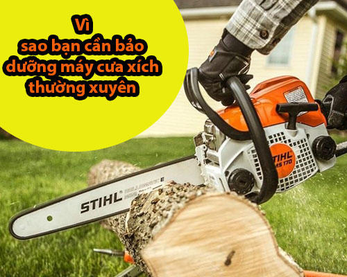 Vì sao bạn cần bảo dưỡng máy cưa xích thường xuyên