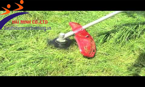 Máy cắt cỏ được sử dụng rộng rãi trong cuộc sống