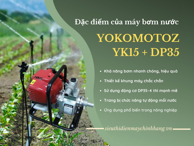 Máy bơm nước Yokomotoz YK15 + DP35