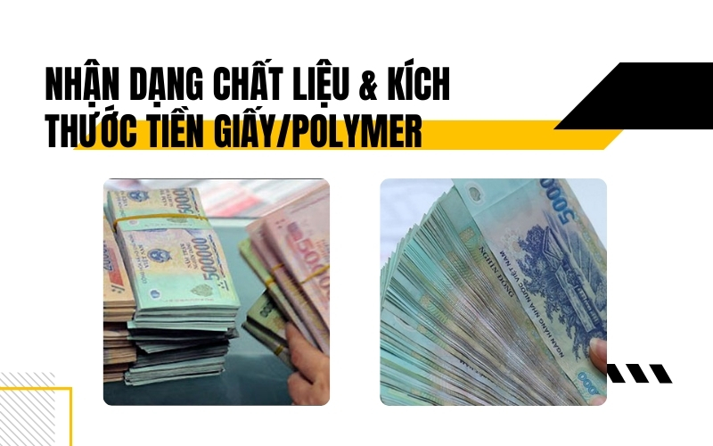 Máy đếm tiền nhận dạng chất liệu & kích thước tiền giấy/polymer