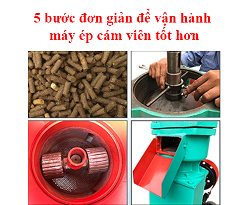 các bước để vận hàng máy ép cám viên tốt