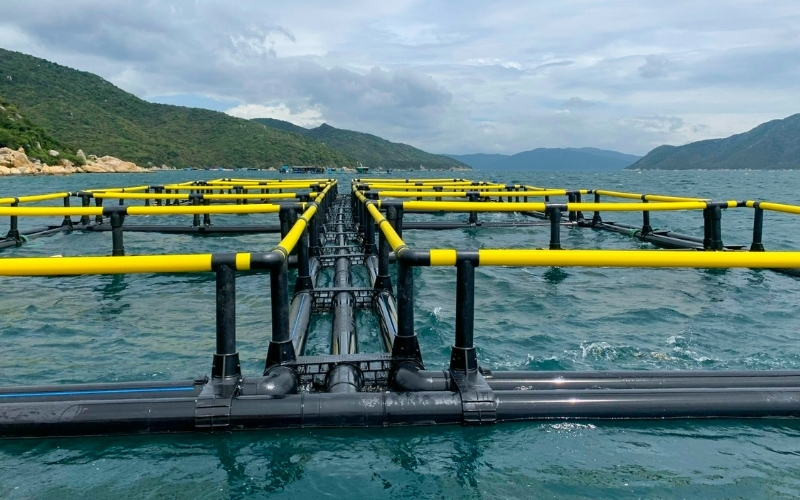 Thực hiện duẹ án nông nghiệp công nghệ cao với máy hàn ống