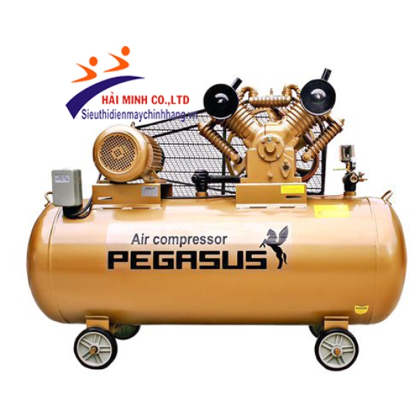 Máy nén khí dây đai PEGASUS TM-V-1.05/12.5-330L