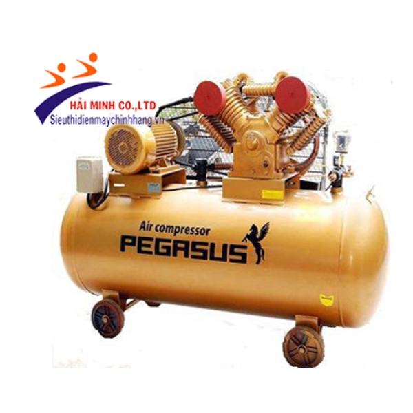 Máy nén khí dây đai PEGASUS TM-W-1.6 / 12.5 - 500L