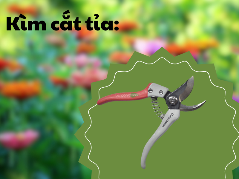 7 dụng cụ giúp dọn dẹp sân vườn nhanh chóng