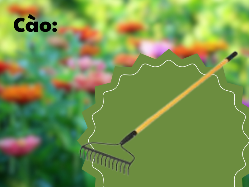 7 dụng cụ giúp dọn dẹp sân vườn nhanh chóng