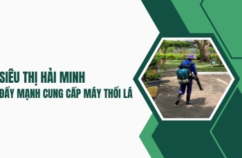 Siêu Thị Hải Minh - đẩy mạnh cung cấp máy thổi lá
