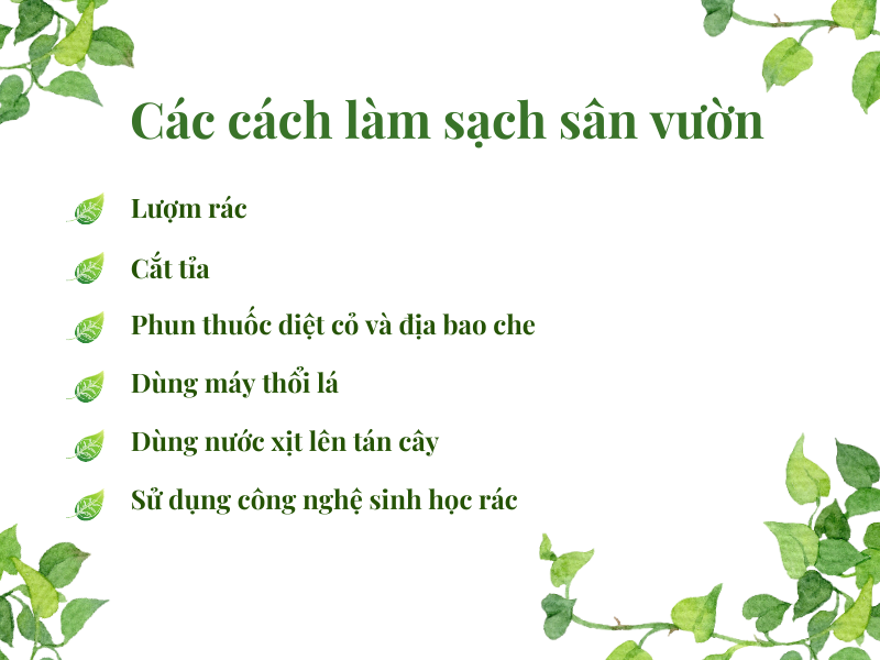 Có những cách làm sạch sân vườn nào?