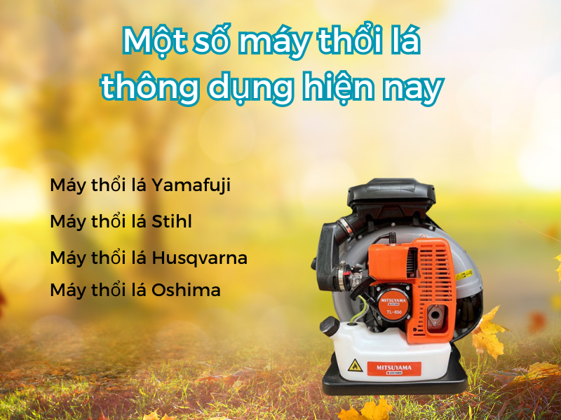 Máy thổi lá có mấy loại? Nên mua loại nào?