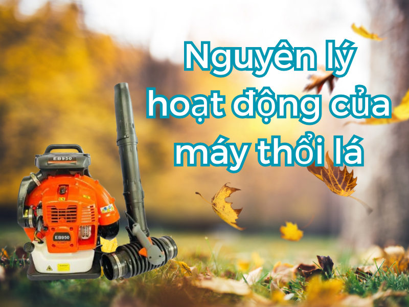 Máy thổi lá có mấy loại? Nên mua loại nào?