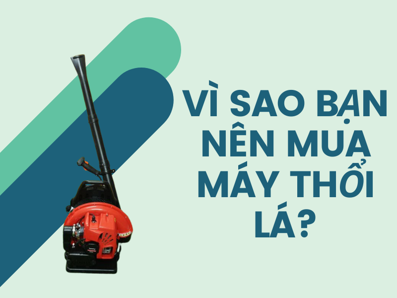 Mua máy thổi lá giá rẻ ở đâu?