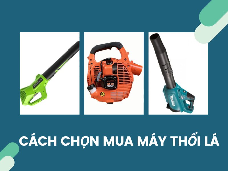 Mua máy thổi lá giá rẻ ở đâu?