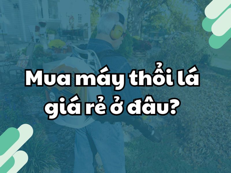 Mua máy thổi lá giá rẻ ở đâu?