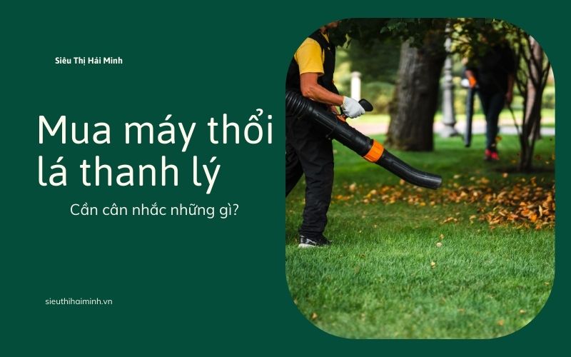 Mua máy thổi lá thanh lý: Cần cân nhắc những gì