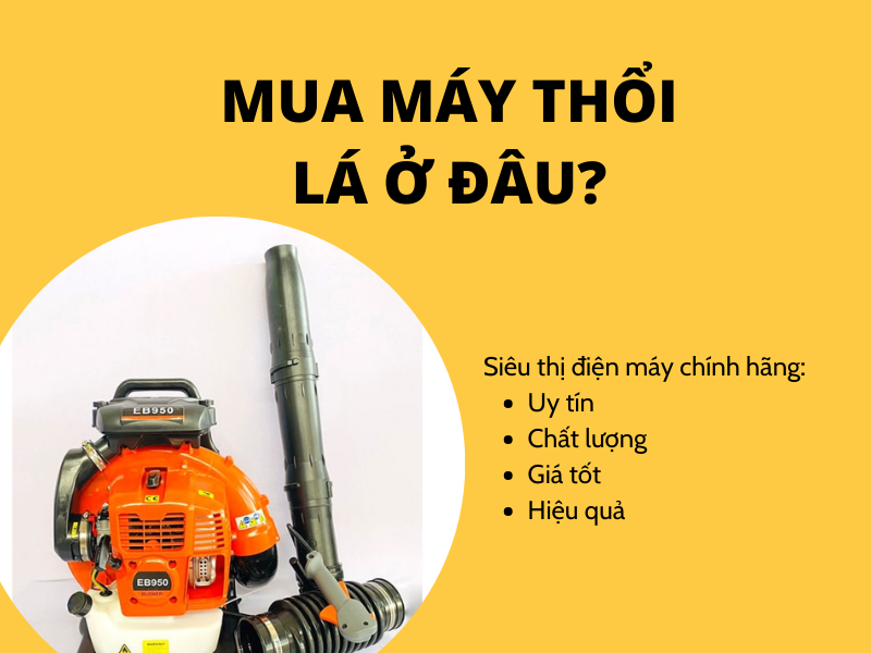 Mua máy thổi lá tphcm tốt ở đâu?