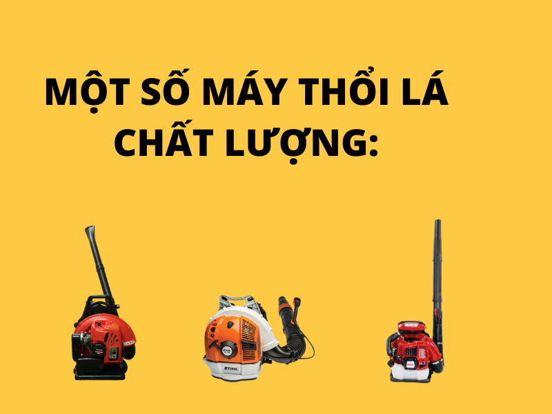 Mua máy thổi lá tphcm tốt ở đâu?