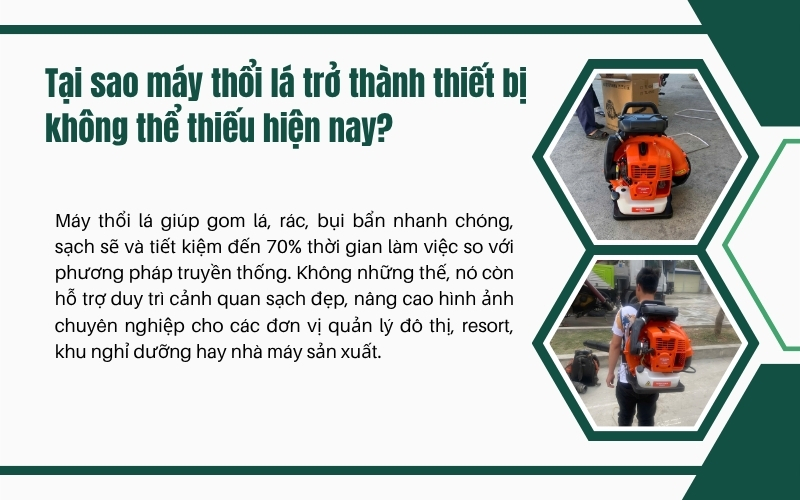 Tại sao máy thổi lá trở thành thiết bị không thể thiếu hiện nay?