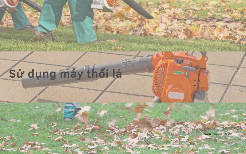 Sử dụng máy thổi lá 