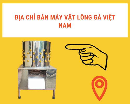 Gợi Ý Địa Chỉ Bán Máy Vặt Lông Gà Việt Nam Tại Hà Nội