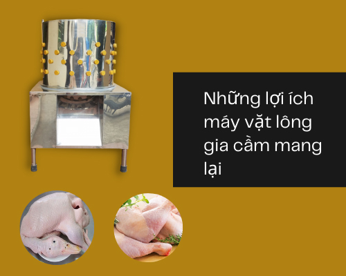 Những lợi ích máy vặt lông gia cầm mang lại