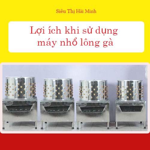 Lợi ích của Máy vặt lông gà vịt mini