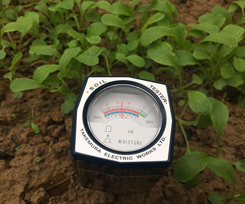 máy đo ph Đất DM 15 sử dụng bền lâu