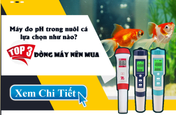 Máy đo pH trong nuôi cá lựa chọn như nào? Top 3 dòng máy nên mua