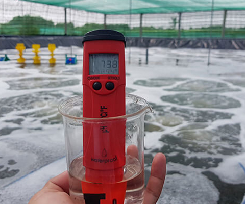 Máy đo pH nước HI98107 Hanna cho hiệu quả hoạt động tốt