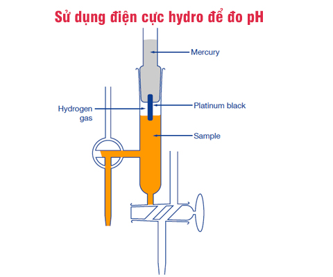 Sử dụng điện cực hydro để đo nồng độ ph