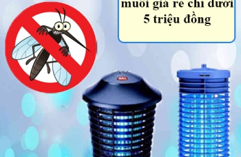 Bộ sưu tập đèn bắt muỗi giá rẻ chỉ dưới 5 triệu đồng