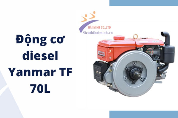  Động cơ diesel Yanmar TF 70L