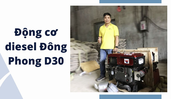 Động cơ diesel Đông Phong D30