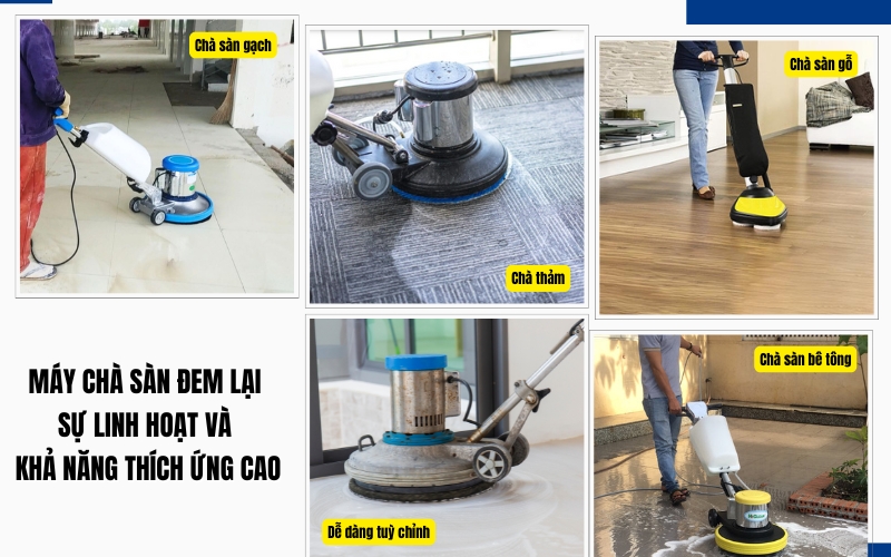 Sự linh hoạt và khả năng thích ứng