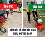 Hình ảnh Đầm cóc và đầm bàn khác nhau như thế nào?