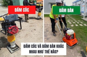 Đầm cóc và đầm bàn khác nhau như thế nào?