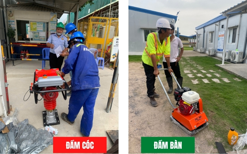 Tính năng của đầm cóc và đầm bàn