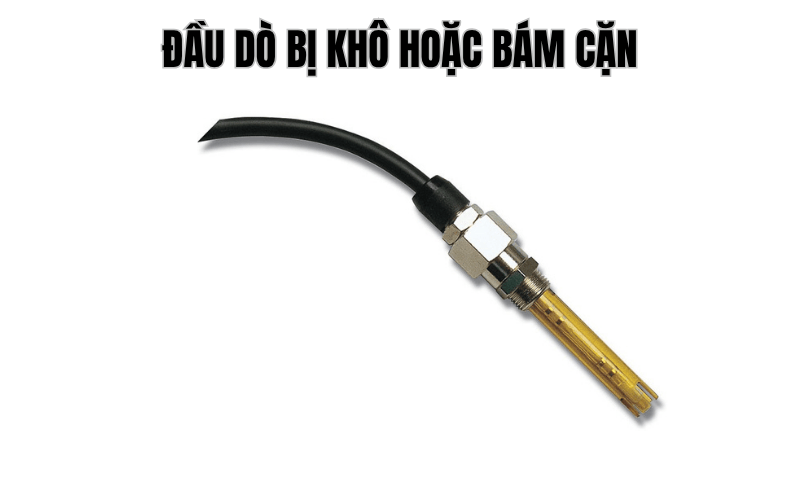 Đầu dò bị khô hoặc bám cặn