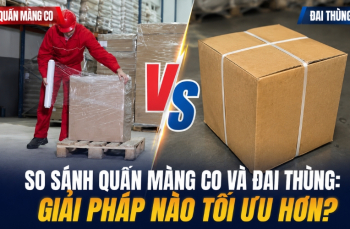 So sánh quấn màng co và đai thùng: giải pháp nào tối ưu hơn?