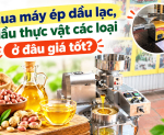 Hình ảnh Mua máy ép dầu lạc, dầu thực vật các loại ở đâu giá tốt?