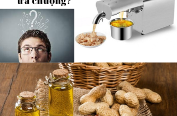 Lý do máy ép dầu lạc yamafuji được ưa chuộng