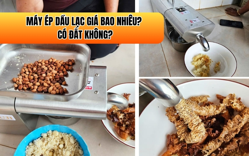 Máy ép dầu lạc giá bao nhiêu? có đắt không?