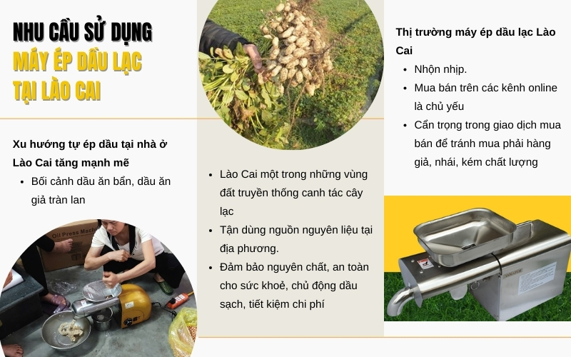 Nhu cầu sử dụng máy ép dầu lạc tại Lào Cai