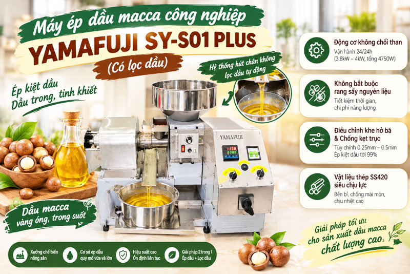Máy ép dầu macca công nghiệp Yamafuji SY-S01 Plus (Có lọc dầu)