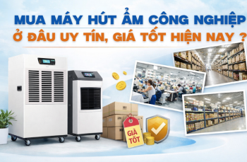 Mua Máy Hút Ẩm Công Nghiệp Ở Đâu Uy Tín, Giá Tốt Hiện Nay?