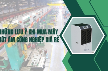 Những lưu ý khi mua máy hút ẩm công nghiệp giá rẻ