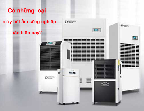 Có những loại máy hút ẩm nào hiện nay